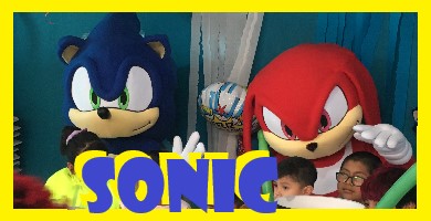 Show de Sonic